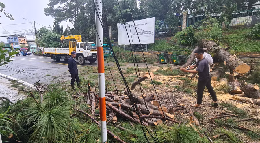 Cơ quan chức năng xử lý thông ngã đổ, giải phóng hiện trường để các phương tiện có thể lưu thông