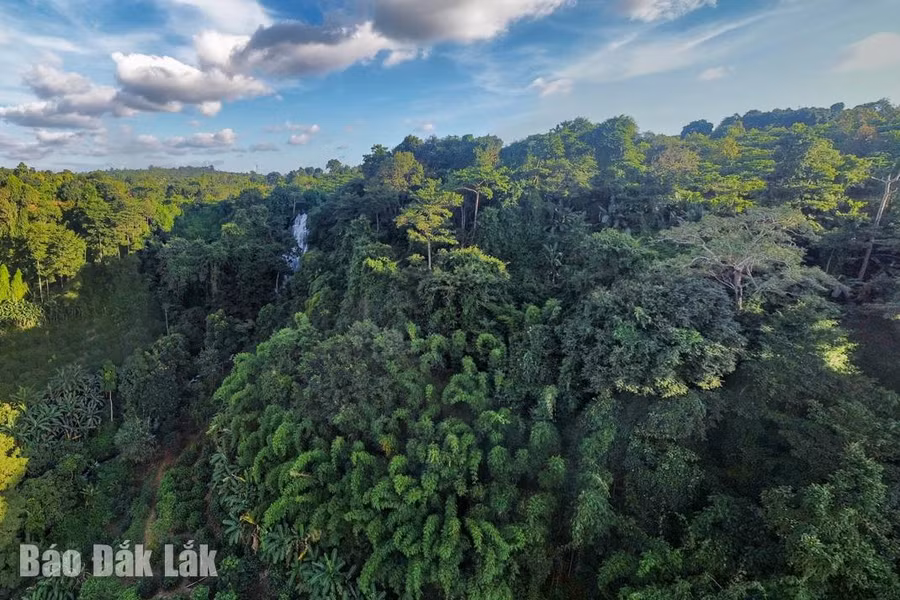 Từ đằng xa, du khách đã có thể nghe tiếng ầm ào của thác nước.