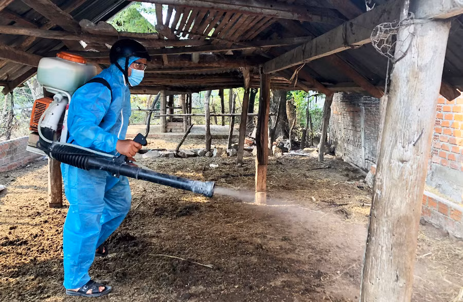 Lực lượng chức năng huyện Krông Pa phun khử khuẩn khu vực chăn nuôi gia súc. Ảnh: L.N