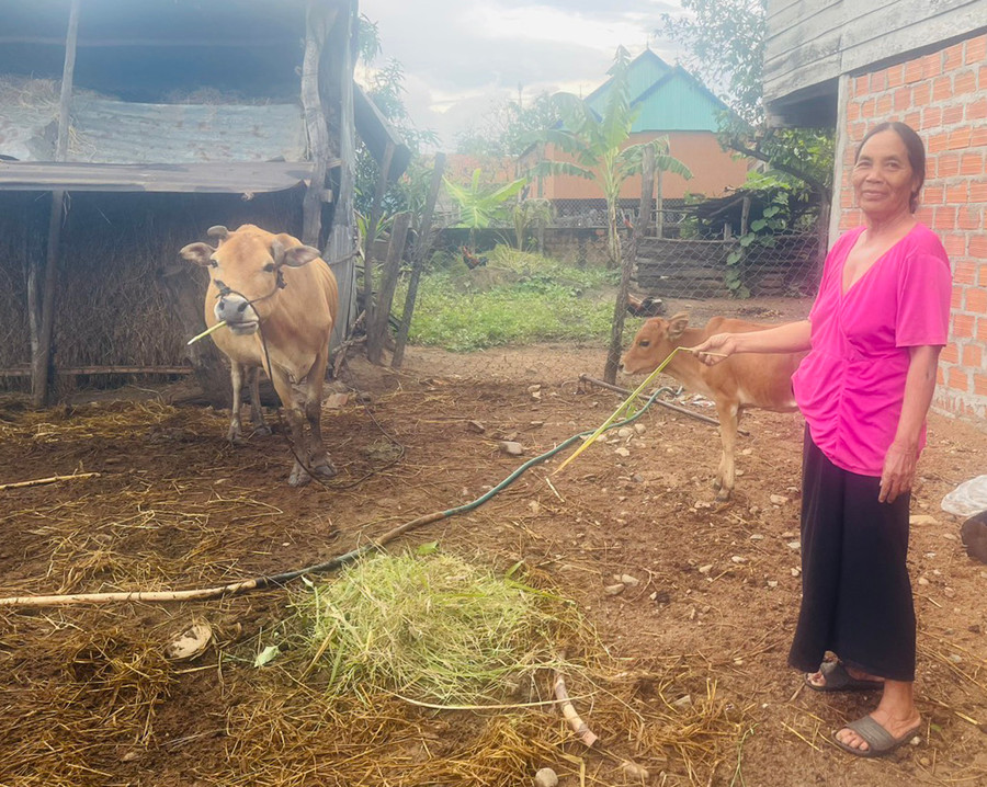 Bà Nay H'Nhit (buôn Hiao) vui mừng vì con bò do Nông hội chăn nuôi bò xã hỗ trợ đã sinh bê con, tạo sinh kế giúp gia đình vươn lên thoát nghèo. Ảnh: V.C Bà Nay H'Nhit (buôn Hiao) vui mừng vì con bò do Nông hội chăn nuôi bò xã hỗ trợ đã sinh bê con, tạo sinh kế giúp gia đình vươn lên thoát nghèo. Ảnh: V.C