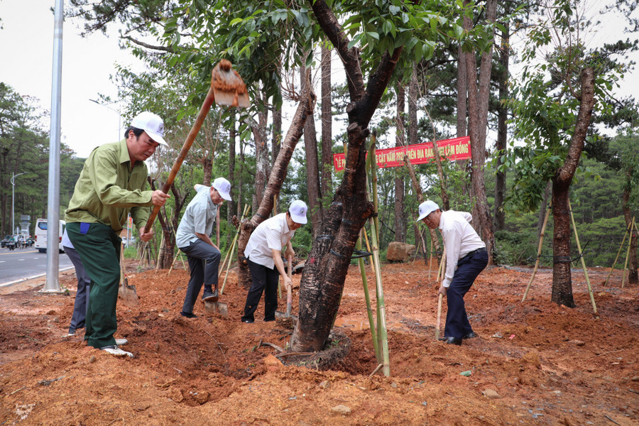 Lãnh đạo Tỉnh ủy, UBND tỉnh trồng lại những cây mai anh đào trước đó phải di dời để phục vụ Dự án mở rộng nâng cấp đèo Prenn. Lãnh đạo Tỉnh ủy, UBND tỉnh trồng lại những cây mai anh đào trước đó phải di dời để phục vụ Dự án mở rộng nâng cấp đèo Prenn.