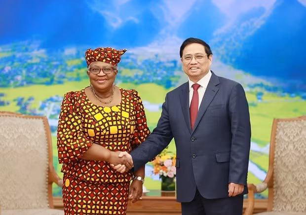Thủ tướng Phạm Minh Chính tiếp Tổng Giám đốc Tổ chức Thương mại thế giới (WTO) Ngozi Okonjo-Iweal. (Ảnh: Dương Giang/TTXVN)