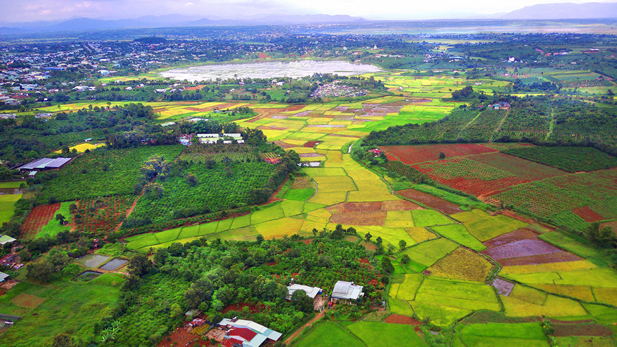 Thung lũng ở phường Chi Lăng, TP. Pleiku. Ảnh: Hùng Hoa Lư
