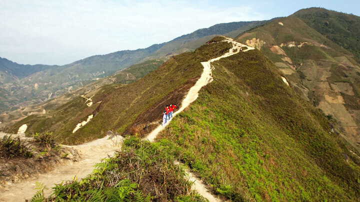 Sống lưng khủng long ở Háng Đồng. Sống lưng khủng long ở Háng Đồng.