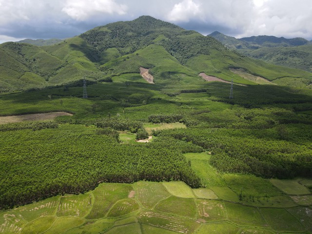 Việt Nam có nhiều tiềm năng, cơ hội lớn trong kinh doanh tín chỉ carbon rừng