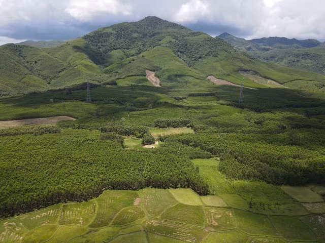 Việt Nam có nhiều tiềm năng, cơ hội lớn trong kinh doanh tín chỉ carbon rừng