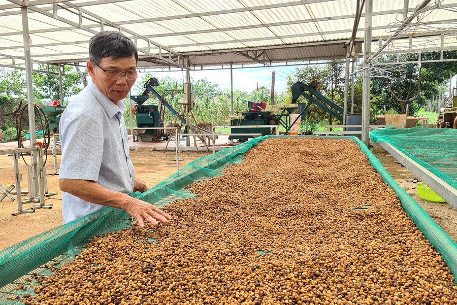Ông Nguyễn Đình Phú (làng Hố Lang, xã Chư Pơng) đầu tư máy móc, làm giàn phơi thực hiện mô hình chế biến cà phê ướt. Ảnh: Quang Tấn Ông Nguyễn Đình Phú (làng Hố Lang, xã Chư Pơng) đầu tư máy móc, làm giàn phơi thực hiện mô hình chế biến cà phê ướt. Ảnh: Quang Tấn
