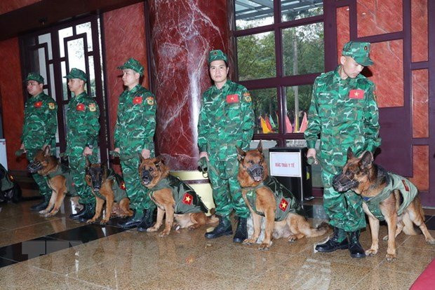 Đội chó nghiệp vụ làm công tác cứu hộ, cứu nạn của lực lượng Bộ đội Biên phòng sẵn sàng lên đường. (Ảnh: Trọng Đức/TTXVN) Đội chó nghiệp vụ làm công tác cứu hộ, cứu nạn của lực lượng Bộ đội Biên phòng sẵn sàng lên đường. (Ảnh: Trọng Đức/TTXVN)