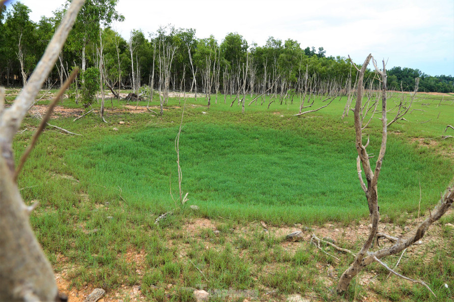 Mùa nước cạn, dấu tích sân bay LiBi và chi chít hố bom hiện rõ trên tuyến đường 22 ngày trước. Hàng chục năm qua, nước ngập cỏ phủ không thể xóa đi những vết thương chiến tranh đã để lại ở vùng đất này. Ông Nguyễn Phi Công - Phó Giám đốc BQL Khu bảo tồn thiên nhiên Kẻ Gỗ - cho biết: "Sở dĩ có tên gọi sân bay LiBi là vì sân bay được làm ở khu vực hạ lưu của khe LiBi chảy từ núi ra. Về tư liệu sân bay LiBi, chỉ có những dòng ngắn ngủi trong cuốn lịch sử ngành giao thông Hà Tĩnh, còn lại chỉ nghe kể các trận ném bom ác liệt khiến hàng trăm TNXP, dân công hỏa tuyến và bộ đội hy sinh qua các nhân chứng. Hơn 10 năm qua, tôi vẫn luôn mò mẫm đi tìm các tư liệu và hài cốt liệt sỹ hy sinh trên tuyến đường 22 và trận đánh sân bay LiBi".