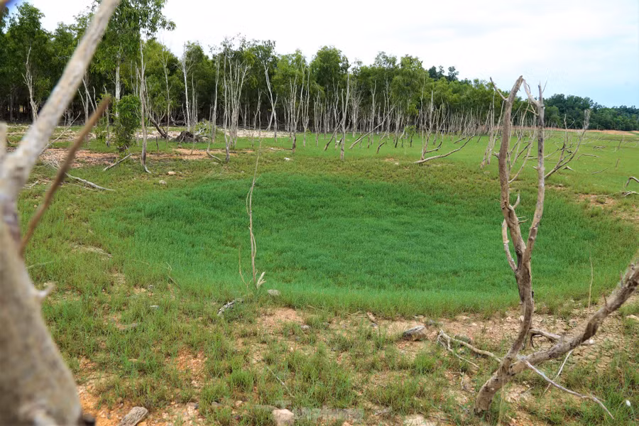 Mùa nước cạn, dấu tích sân bay LiBi và chi chít hố bom hiện rõ trên tuyến đường 22 ngày trước. Hàng chục năm qua, nước ngập cỏ phủ không thể xóa đi những vết thương chiến tranh đã để lại ở vùng đất này. Ông Nguyễn Phi Công - Phó Giám đốc BQL Khu bảo tồn thiên nhiên Kẻ Gỗ - cho biết: "Sở dĩ có tên gọi sân bay LiBi là vì sân bay được làm ở khu vực hạ lưu của khe LiBi chảy từ núi ra. Về tư liệu sân bay LiBi, chỉ có những dòng ngắn ngủi trong cuốn lịch sử ngành giao thông Hà Tĩnh, còn lại chỉ nghe kể các trận ném bom ác liệt khiến hàng trăm TNXP, dân công hỏa tuyến và bộ đội hy sinh qua các nhân chứng. Hơn 10 năm qua, tôi vẫn luôn mò mẫm đi tìm các tư liệu và hài cốt liệt sỹ hy sinh trên tuyến đường 22 và trận đánh sân bay LiBi".