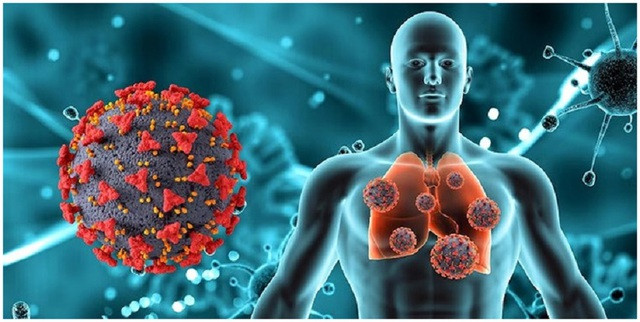 Nghiên cứu mới cho thấy 23% số người không tiêm vắc xin Covid-19 tham gia nghiên cứu không được hồi phục, con số này giảm xuống còn 19% sau 12 tháng và 17% sau 24 tháng mắc Covid-19. Ảnh chụp màn hình Swachhindia.ndtv.com Nghiên cứu mới cho thấy 23% số người không tiêm vắc xin Covid-19 tham gia nghiên cứu không được hồi phục, con số này giảm xuống còn 19% sau 12 tháng và 17% sau 24 tháng mắc Covid-19. Ảnh chụp màn hình Swachhindia.ndtv.com