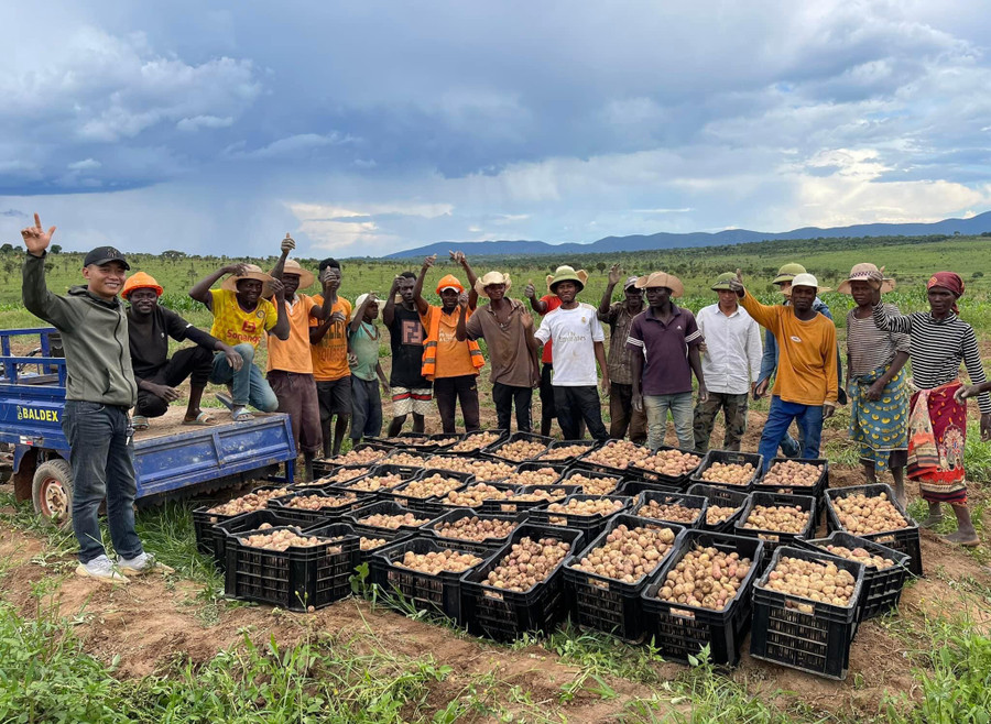 Quang Linh (bìa trái) hướng dẫn người dân châu Phi trồng hoa màu và thu được thành quả. Quang Linh (bìa trái) hướng dẫn người dân châu Phi trồng hoa màu và thu được thành quả.