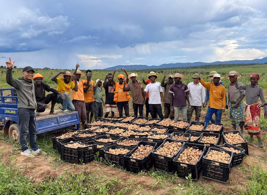 Quang Linh (bìa trái) hướng dẫn người dân châu Phi trồng hoa màu và thu được thành quả.