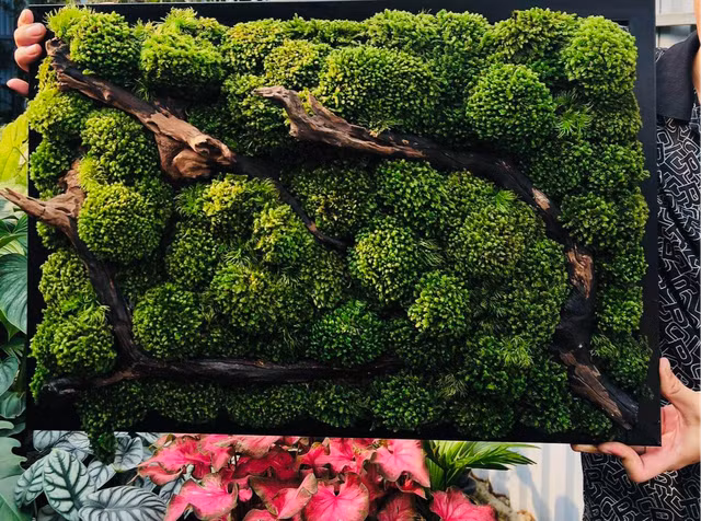 Duy nhấn nhá cho bức tranh rêu bằng những cành củi khô. Ảnh: ĐỨC DUY