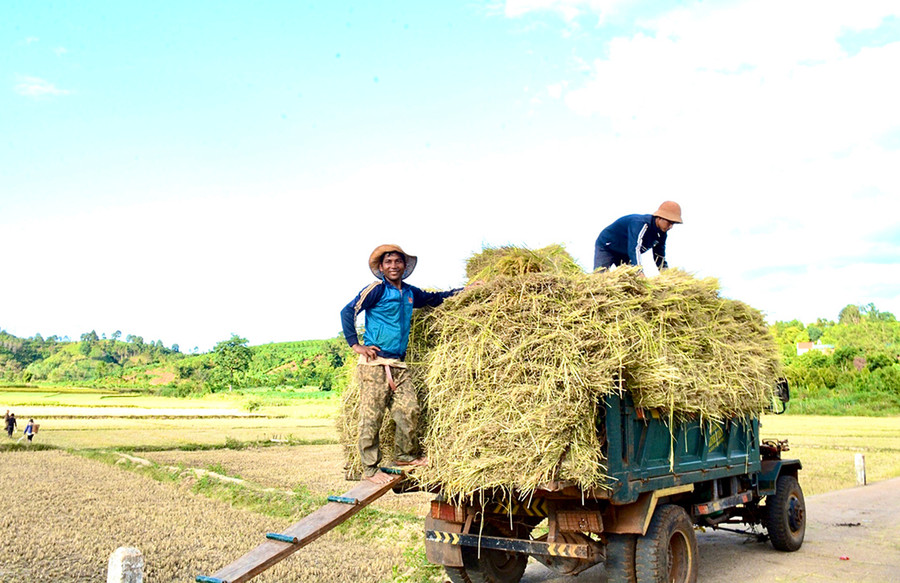 “Nhịp cầu nối những bờ vui” đã tạo điều kiện cho người dân đi lại, sản xuất, vận chuyển hàng hóa nông sản thuận lợi. Ảnh: M.P
