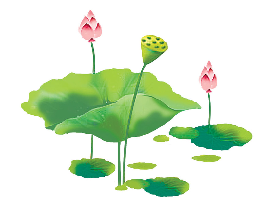 Minh họa: H.T Minh họa: H.T