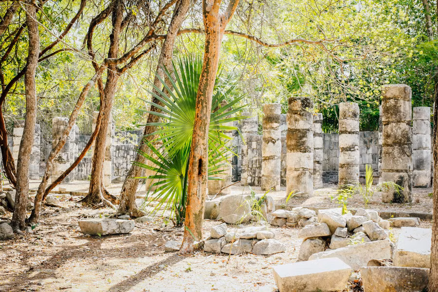 Trò chơi mang ý nghĩa biểu tượng trong văn hóa vùng Mesoamerican, thể hiện cuộc tranh đấu giữa bóng tối và ánh sáng, sự sống và chết…. Người ta tin rằng, kết quả của cuộc đấu có thể ảnh hưởng tới vụ mùa bội thu, lượng mưa hay sự phồn vinh của cộng đồng. Ảnh: MINH ĐỨC