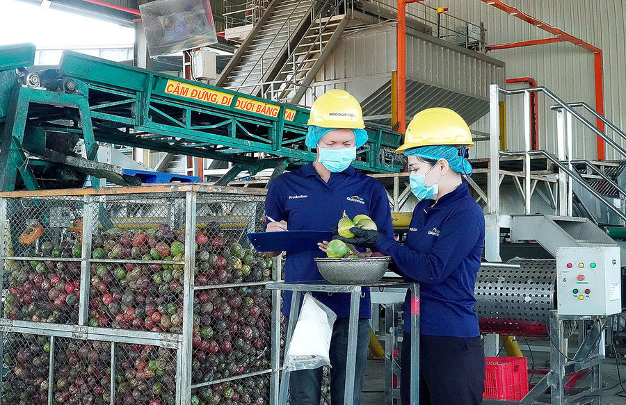 Công nhân Công ty TNHH Quicornac (Khu Công nghiệp Trà Đa, TP. Pleiku) thực hiện nghiêm các quy định về an toàn, vệ sinh lao động. Ảnh: Đ.Y Công nhân Công ty TNHH Quicornac (Khu Công nghiệp Trà Đa, TP. Pleiku) thực hiện nghiêm các quy định về an toàn, vệ sinh lao động. Ảnh: Đ.Y