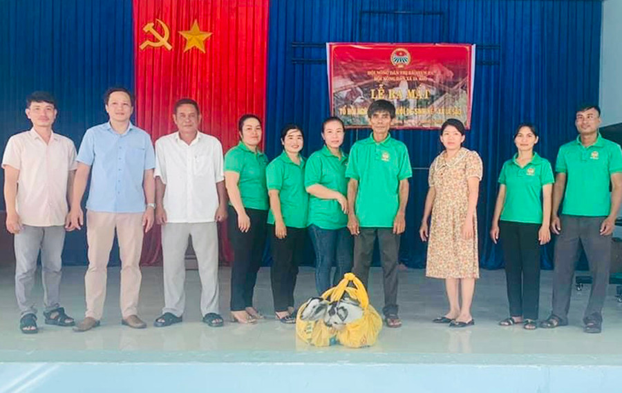 Từ năm 2021 đến nay, Hội Nông dân xã Ia Sao đã thành lập 7 tổ hội nghề nghiệp giúp hội viên phát triển kinh tế. Ảnh: V.C