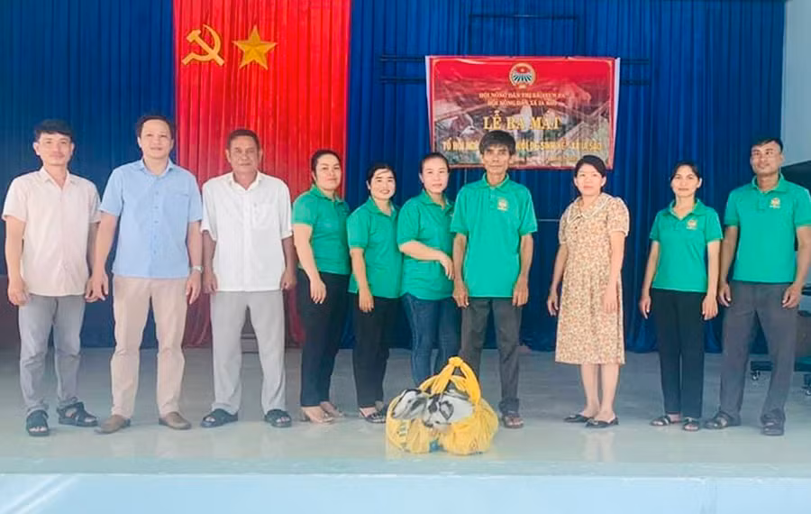 Từ năm 2021 đến nay, Hội Nông dân xã Ia Sao đã thành lập 7 tổ hội nghề nghiệp giúp hội viên phát triển kinh tế. Ảnh: V.C