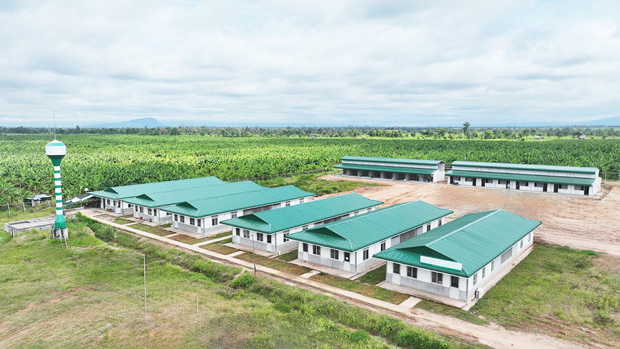 Các khu nhà ở được xây dựng khang trang, góp phần nâng cao đời sống cho CBCNV tại các Khu liên hợp nông nghiệp. Các khu nhà ở được xây dựng khang trang, góp phần nâng cao đời sống cho CBCNV tại các Khu liên hợp nông nghiệp.