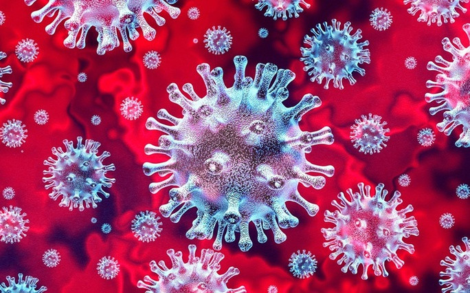 Virus SARS-CoV-2 - Ảnh minh họa từ Internet