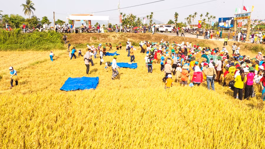 "Đây cũng là dịp để thế hệ trẻ tìm hiểu về lịch sử và những câu chuyện hay ở nơi mình sinh ra và lớn lên. Từ đó, khơi dậy tinh thần trách nhiệm, gắng sức thi đua học tập, lao động, sáng tạo để xây dựng quê hương ngày càng giàu đẹp", ông Vũ nói. Ảnh: Hải Phong