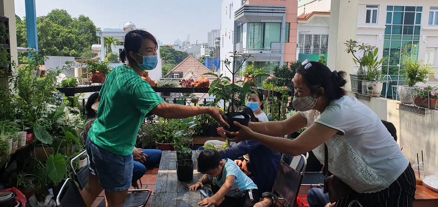 20220319-103000-8376.jpg Nhiều nơi ở TP.HCM tổ chức chương trình "Cho cây miễn phí". ẢNH: TẤN ĐẠT