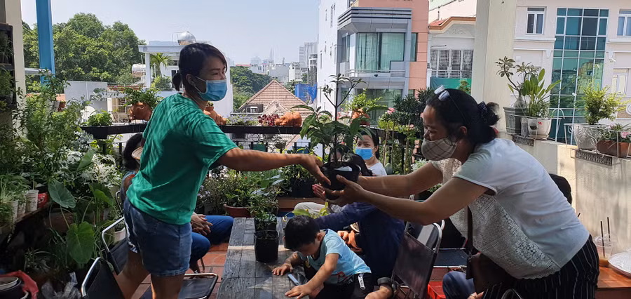 Nhiều nơi ở TP.HCM tổ chức chương trình "Cho cây miễn phí". ẢNH: TẤN ĐẠT
