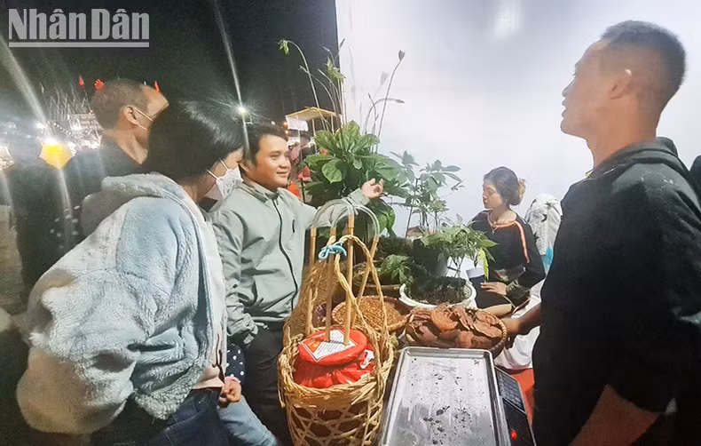 Gian hàng sâm Ngọc Linh của xã Xốp, huyện Đăk Glei thu hút đông đảo người dân tham quan, tìm hiểu và mua sắm.