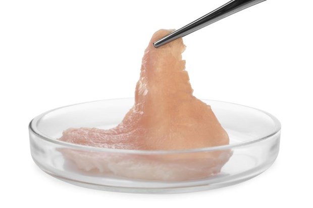 Ảnh minh họa. (Nguồn: New Food Magazine)