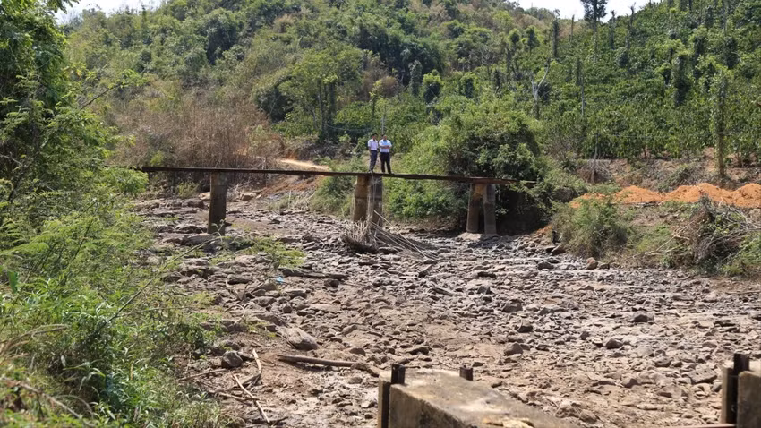 Một con suối tại Đắk Nông đã cạn nước. Ảnh: L.P