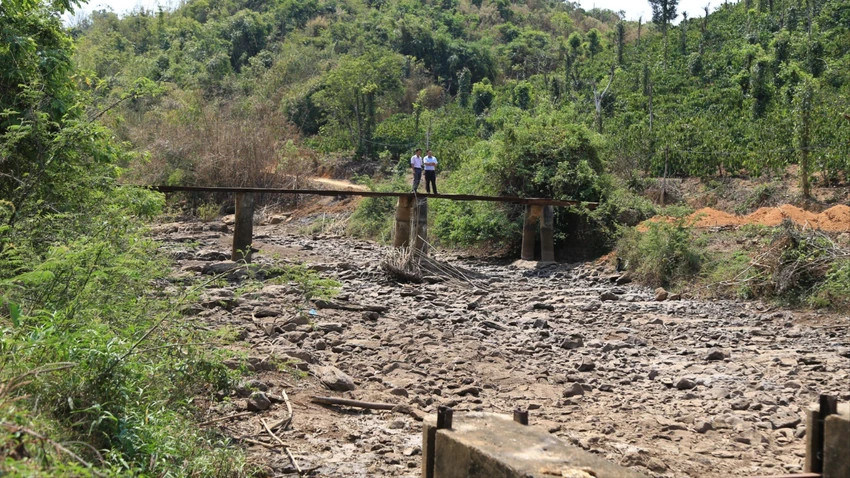 Một con suối tại Đắk Nông đã cạn nước. Ảnh: L.P