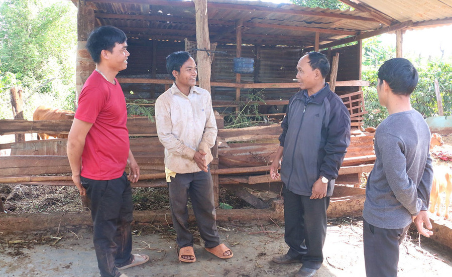Anh Rmah Bling (đứng giữa, làng Tol, xã Ia Hlốp, huyện Chư Sê) trao đổi kinh nghiệm sản xuất với người dân trong làng. Ảnh: Q.T Anh Rmah Bling (đứng giữa, làng Tol, xã Ia Hlốp, huyện Chư Sê) trao đổi kinh nghiệm sản xuất với người dân trong làng. Ảnh: Q.T