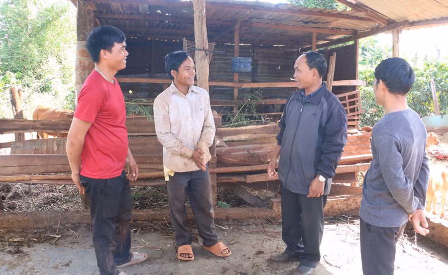 Anh Rmah Bling (đứng giữa, làng Tol, xã Ia Hlốp, huyện Chư Sê) trao đổi kinh nghiệm sản xuất với người dân trong làng. Ảnh: Q.T