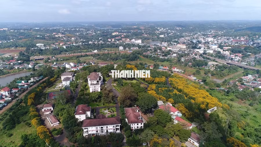 TP.Gia Nghĩa còn được ví là "phố thị hoa vàng", vì trong khắp thành phố được trồng rất nhiều cây có hoa vàng. Ảnh: NGỌC BIÊN