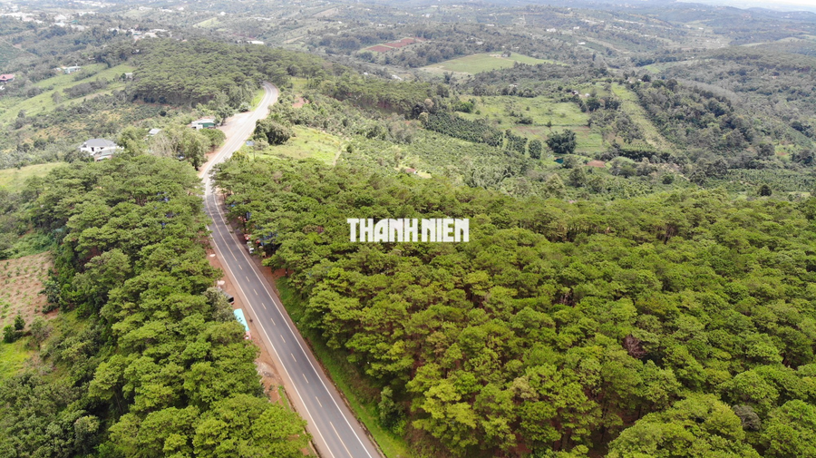 Ngắm vẻ đẹp hoang sơ của cao nguyên Đắk Nông nhìn từ trên cao - Ảnh 14. Màu xanh của đại ngàn Tây nguyên.... Ảnh: XUÂN LÂM