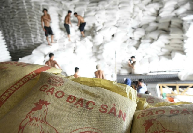 Việt Nam có nhiều giống lúa chất lượng cao nên gạo xuất khẩu có lợi thế về giá. Ảnh: Như Ý Việt Nam có nhiều giống lúa chất lượng cao nên gạo xuất khẩu có lợi thế về giá. Ảnh: Như Ý