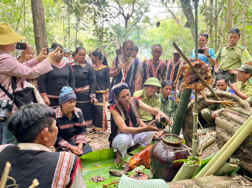 Già làng Siu Dơih thực hiện nghi thức cúng rừng tại làng O Grang (xã Ia Pếch, huyện Ia Grai). Ảnh: Lam Nguyên Già làng Siu Dơih thực hiện nghi thức cúng rừng tại làng O Grang (xã Ia Pếch, huyện Ia Grai). Ảnh: Lam Nguyên