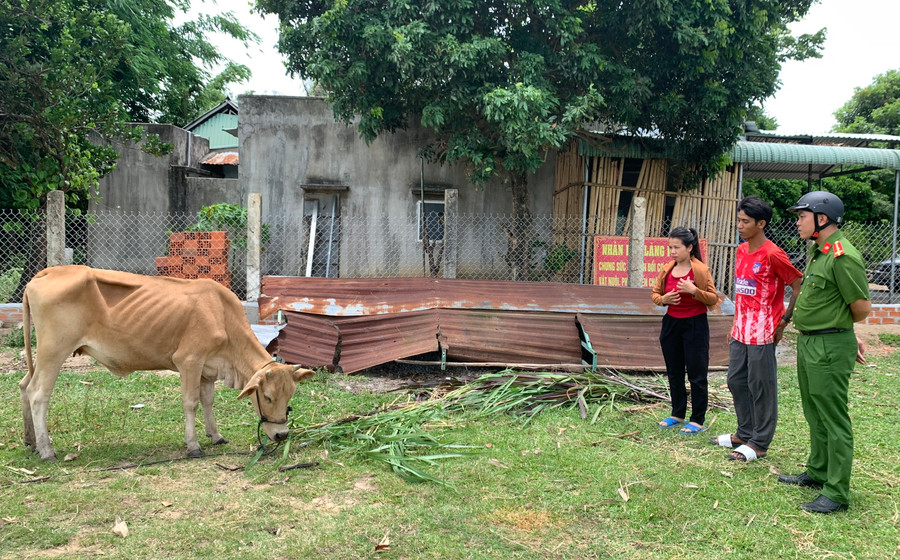 Công an thị xã An Khê hỗ trợ kinh phí cho anh Đinh Phan (đúng giữa,con ruột bà Glao) mua bò chăn nuôi, phát triển kinh tế. Ảnh: R.H