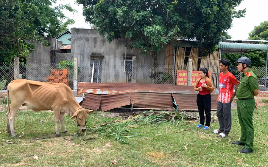 Công an thị xã An Khê hỗ trợ kinh phí cho anh Đinh Phan (đúng giữa,con ruột bà Glao) mua bò chăn nuôi, phát triển kinh tế. Ảnh: R.H