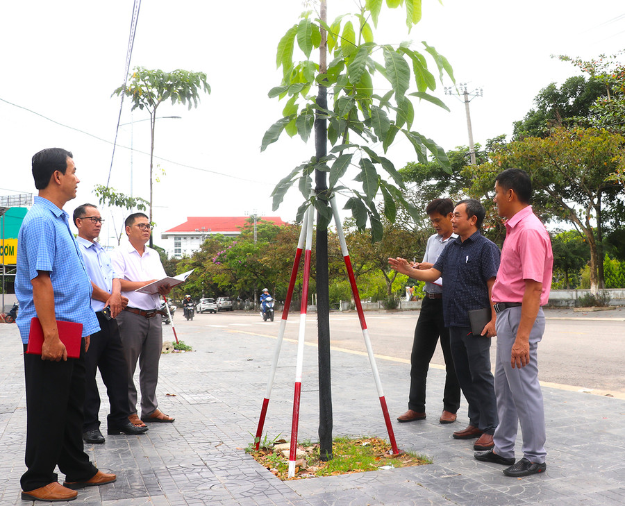 Đoàn giám sát Ban Kinh tế-Xã hội HĐND thị xã An Khê, giám sát kết quả triển khai thực hiện kế hoạch phát triển cây xanh đô thị trên địa bàn thị xã từ năm 2021-2022. Ảnh: Ngọc Minh Đoàn giám sát Ban Kinh tế-Xã hội HĐND thị xã An Khê, giám sát kết quả triển khai thực hiện kế hoạch phát triển cây xanh đô thị trên địa bàn thị xã từ năm 2021-2022. Ảnh: Ngọc Minh