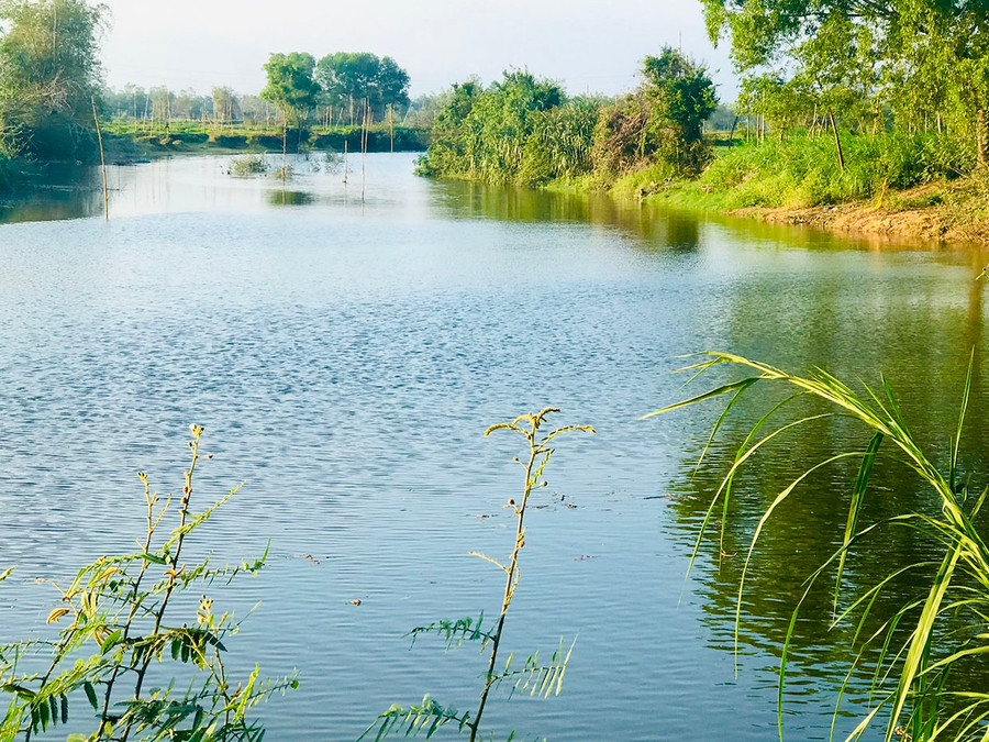 Vẻ đẹp yên bình của làng Tú Dương, xã Mỹ Hiệp, huyện Phù Mỹ, tỉnh Bình Định. Ảnh: Đ.M.P
