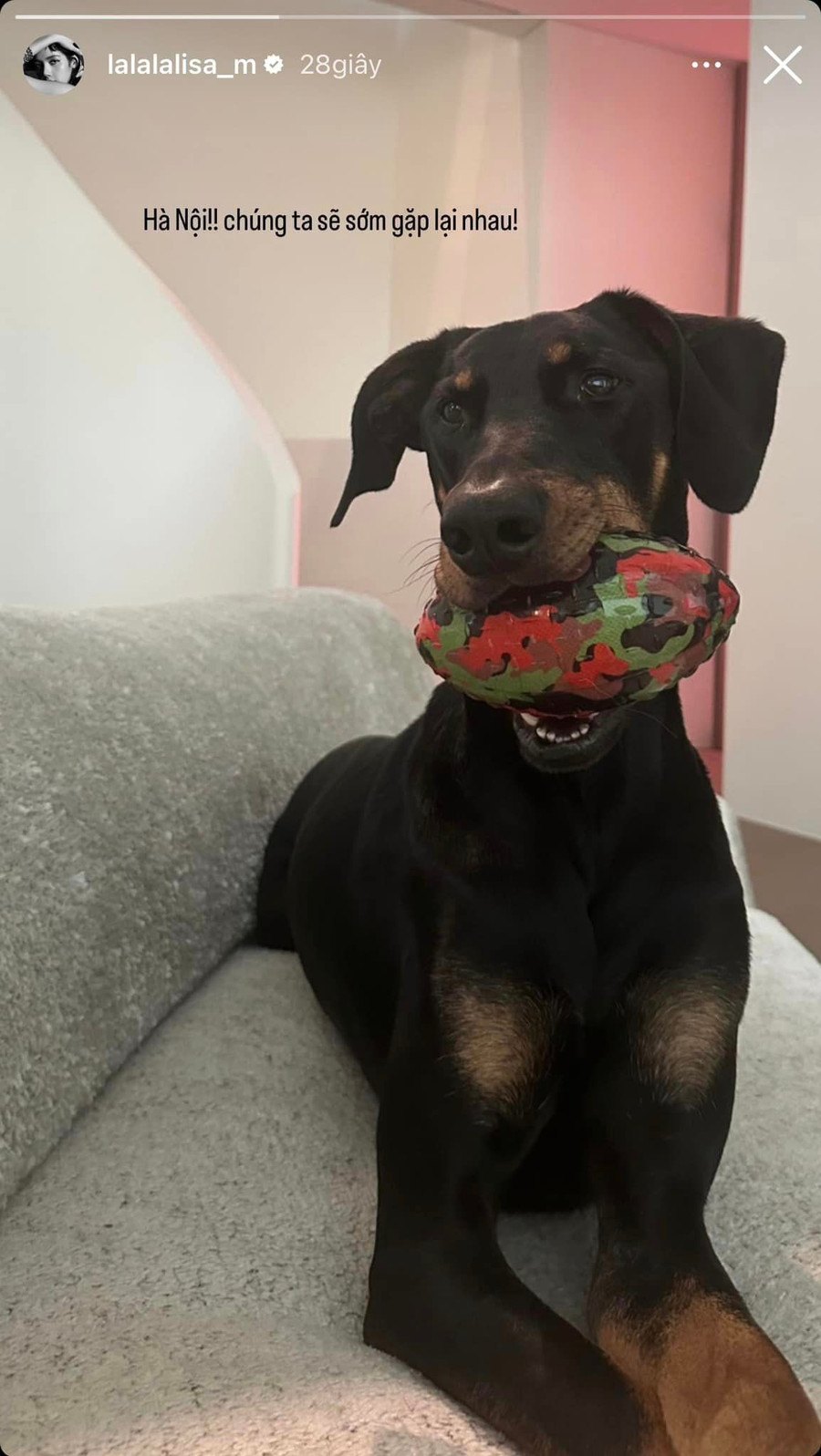 Cách BlackPink khiến fan Việt bỏ 10 triệu đồng mua vé ở sân Mỹ Đình ảnh 12