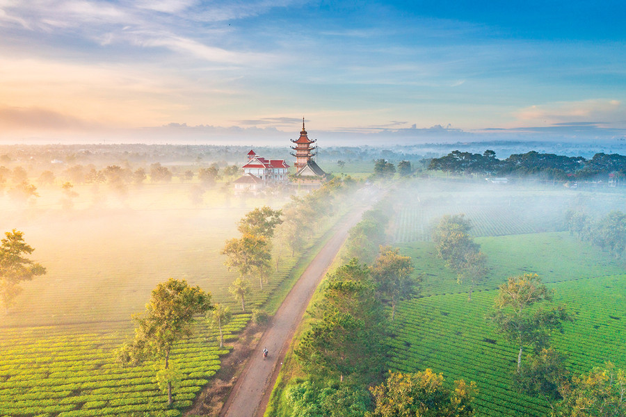 Ngày mới trên cánh đồng chè xã Nghĩa Hưng, huyện Chư Păh. Ảnh: Phạm Quý Ngày mới trên cánh đồng chè xã Nghĩa Hưng, huyện Chư Păh. Ảnh: Phạm Quý