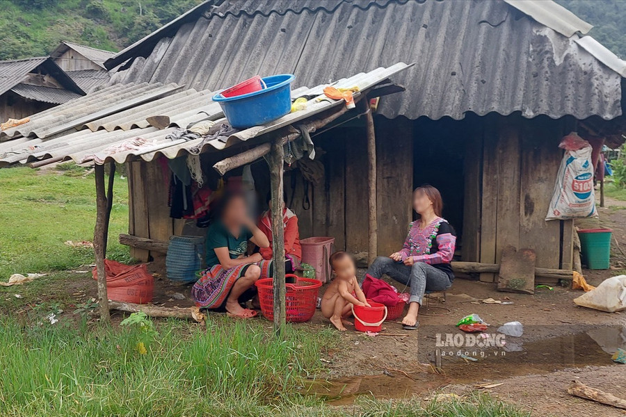 Ngôi nhà lụp xụp của gia đình D. Ngôi nhà lụp xụp của gia đình D.