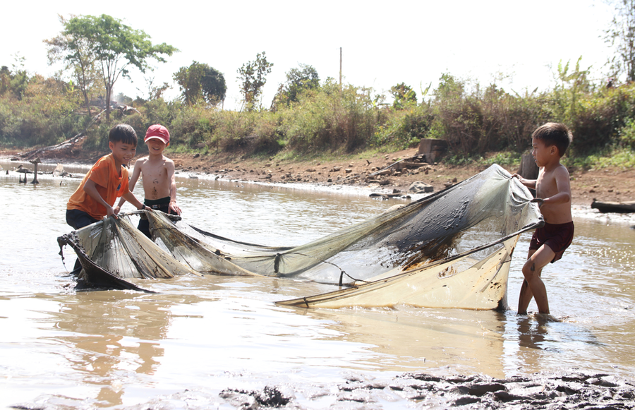 Các em nhỏ sử dụng tấm mùng để kéo lưới bắt cá
