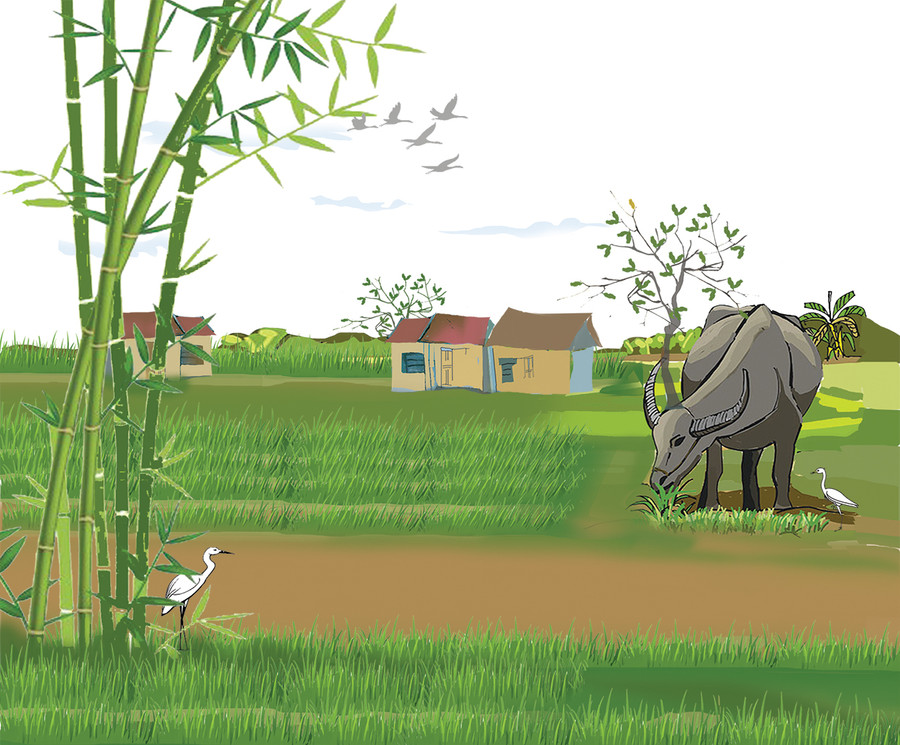 Minh họa: Huyền Trang