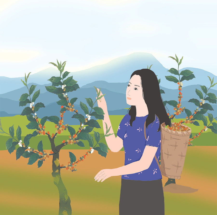 Minh họa: T.N Minh họa: T.N