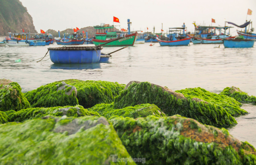 Vẻ đẹp làng chài Nhơn Hải. Ảnh: Trương Định Vẻ đẹp làng chài Nhơn Hải. Ảnh: Trương Định
